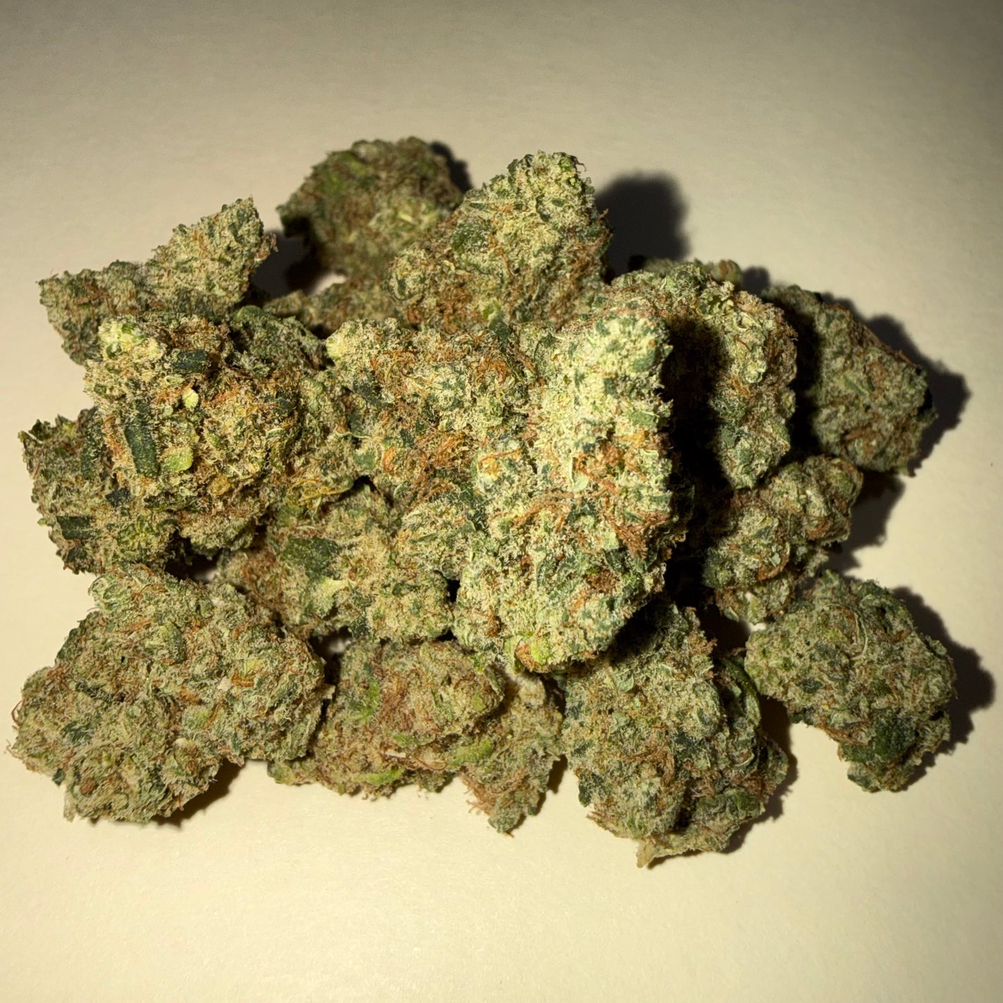 🥊 PASSION PUNCH 🥊 HH