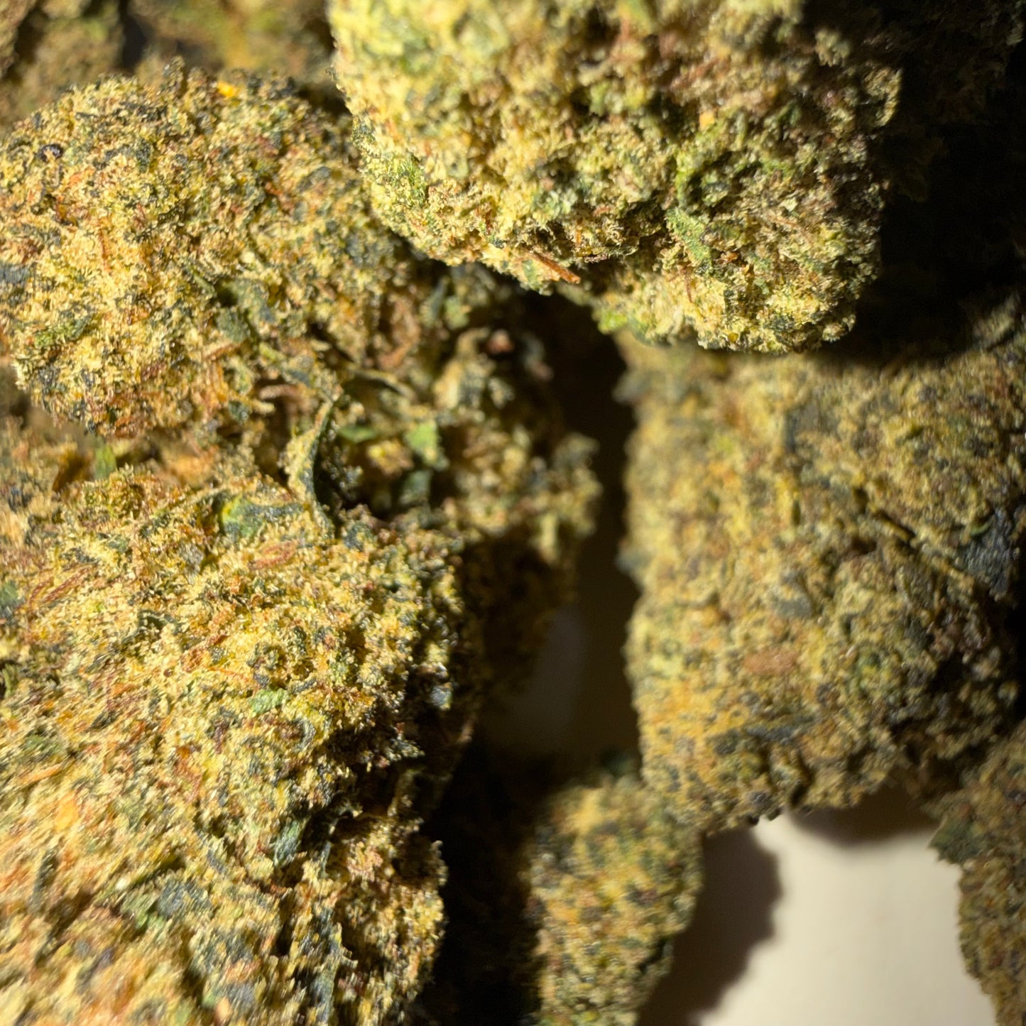 ⛽️ OG DIESEL ⛽️ HH