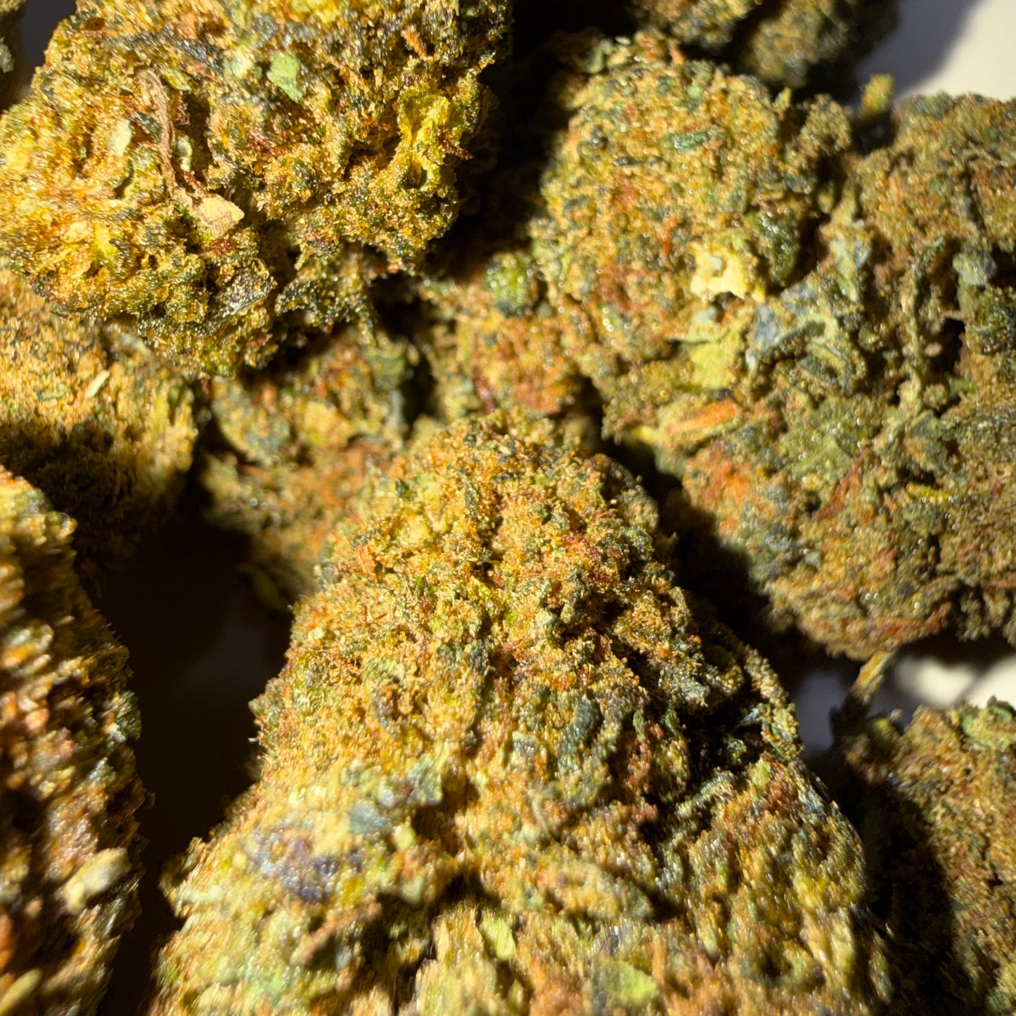 🧀 SWEET CHEESE 🧀 HH