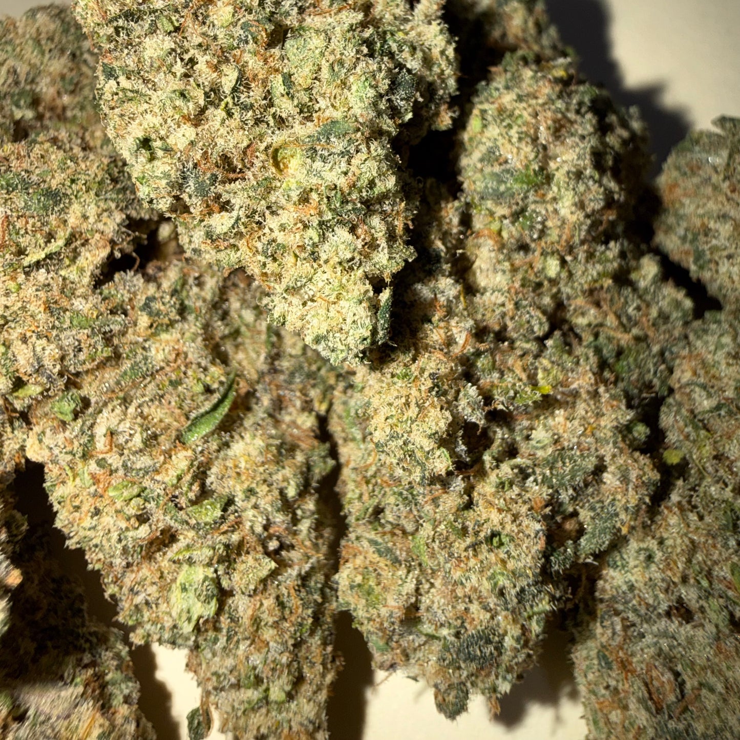 🏆 LEGENDARY SKUNK 🏆 CBD