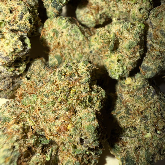 🍑 BLUE APRICOT 🍑 HH