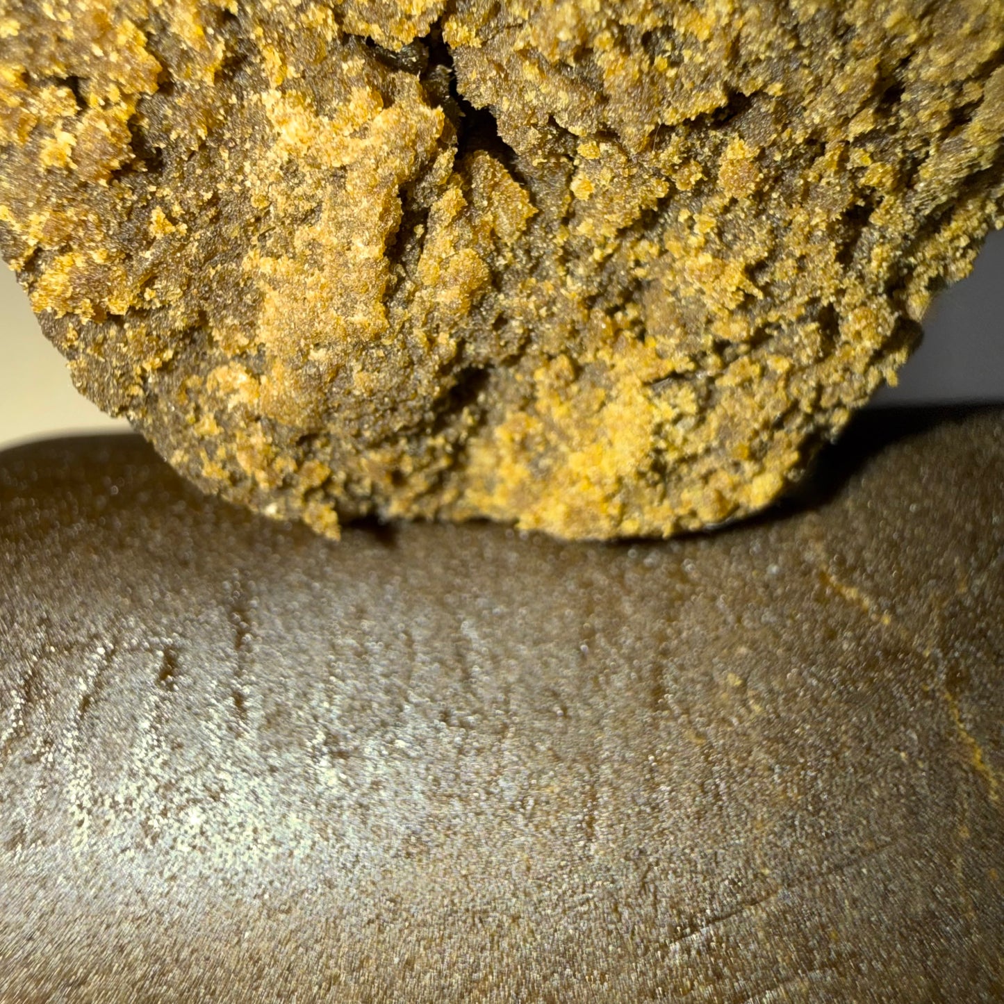 🍇 FORBIDDEN FRUIT 🍇 HH