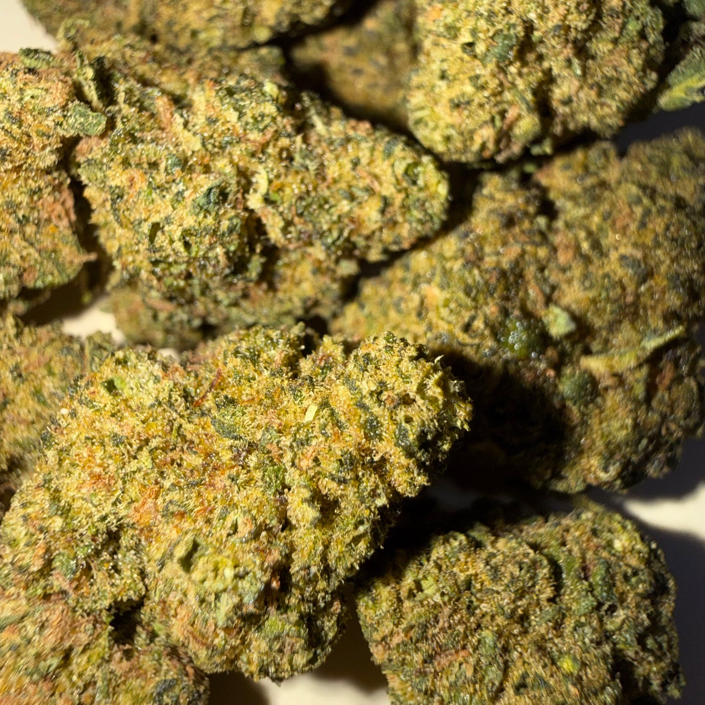 🍁 SKUNK 🍁 HH