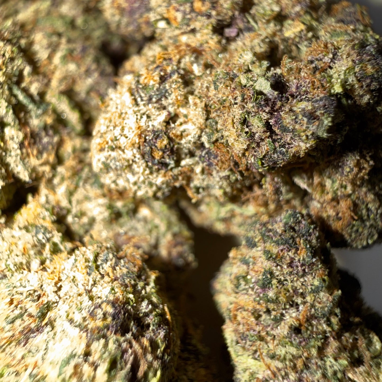 🍇 PURPLE LEMONADE 🍇 HH