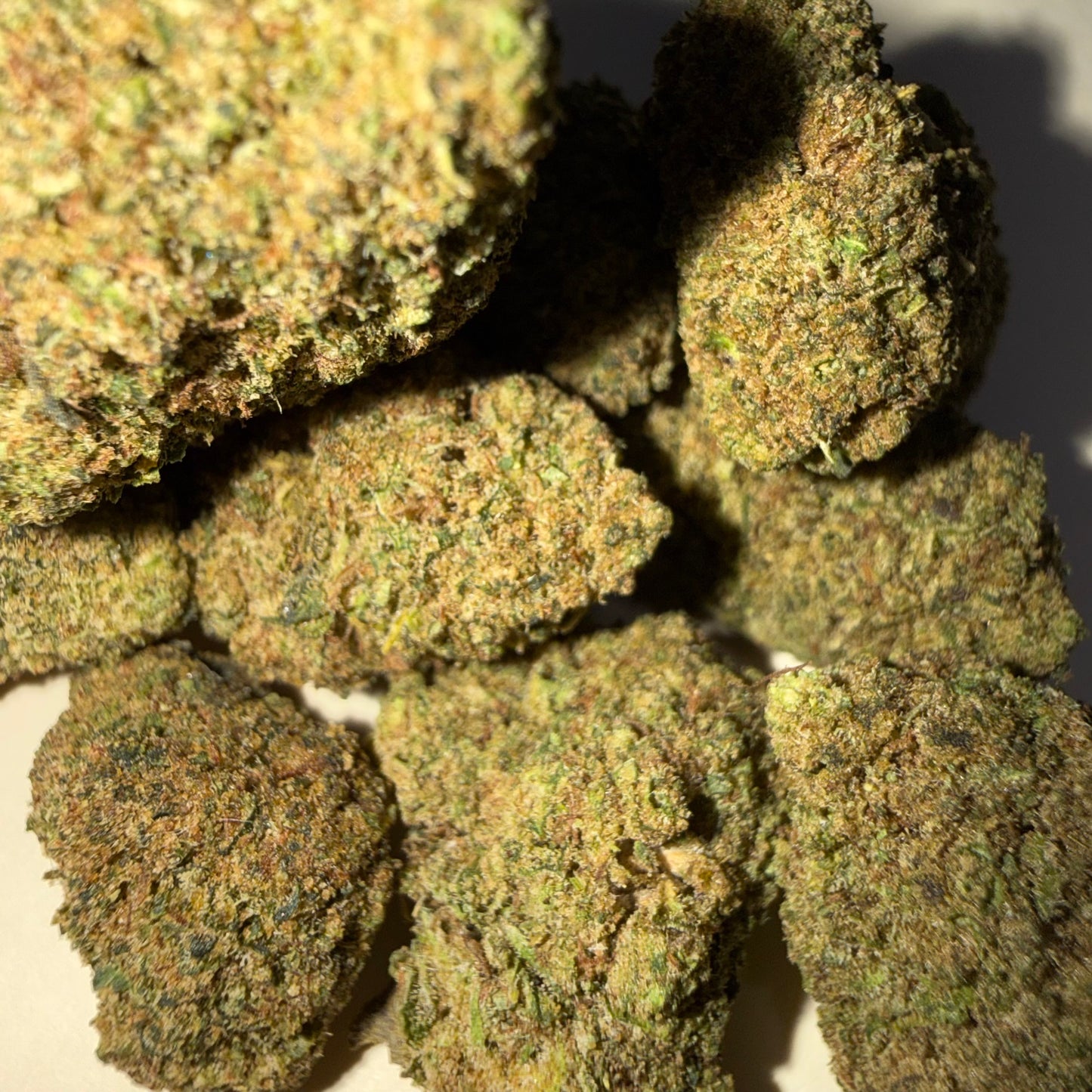 🫐 BERRY BOMB 🫐 HH