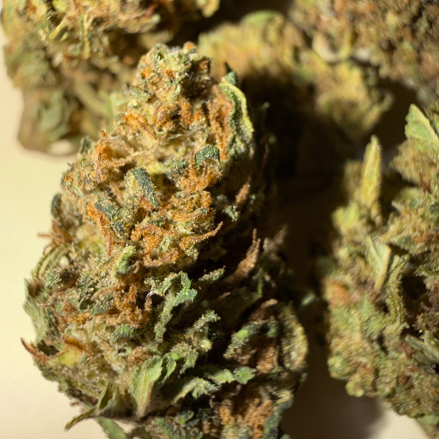 🍊 ORANGE 🍊 CBD