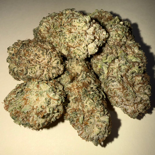 🦏 WHITE RUNTZ 🦏 HH