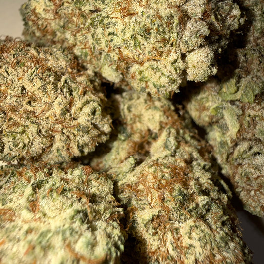 🦏 WHITE RUNTZ 🦏 HH