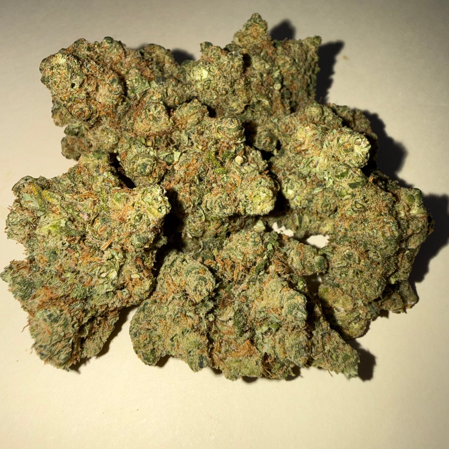 🧠 ZAMNESIA 🧠 HH