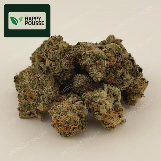 🍋 LEMON GRÂCE 🍋 CBD