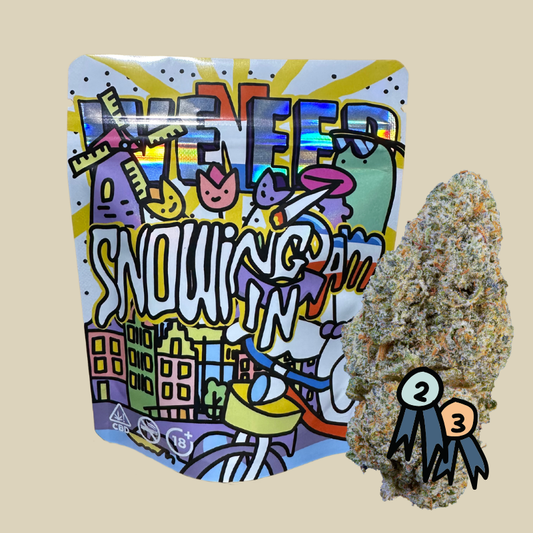 ❄️ SNOWING IN DAM ❄️ CBD