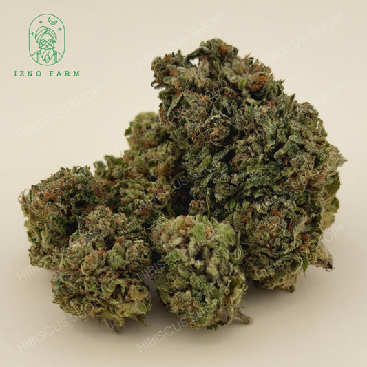 🏆 LEGENDARY SKUNK 🏆 CBD