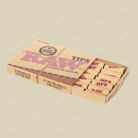 RAW PRE-ROLLES LONG FILTER TIPS